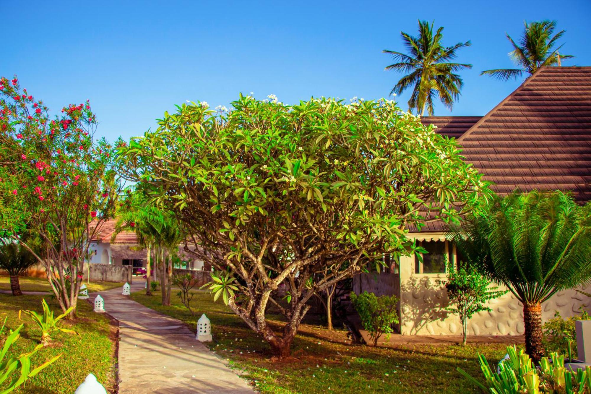 Mandarin Resort Zanzibar 키짐카지 외부 사진