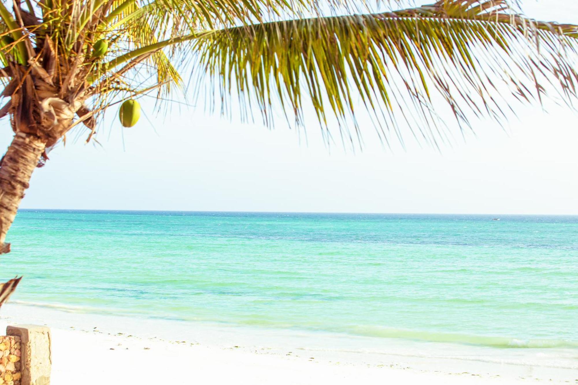 Mandarin Resort Zanzibar 키짐카지 외부 사진